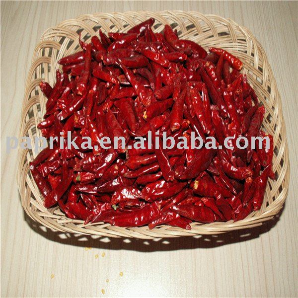 Hot Red Chilli