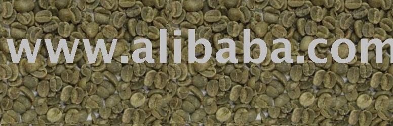 Green Arabica Coffee Beans