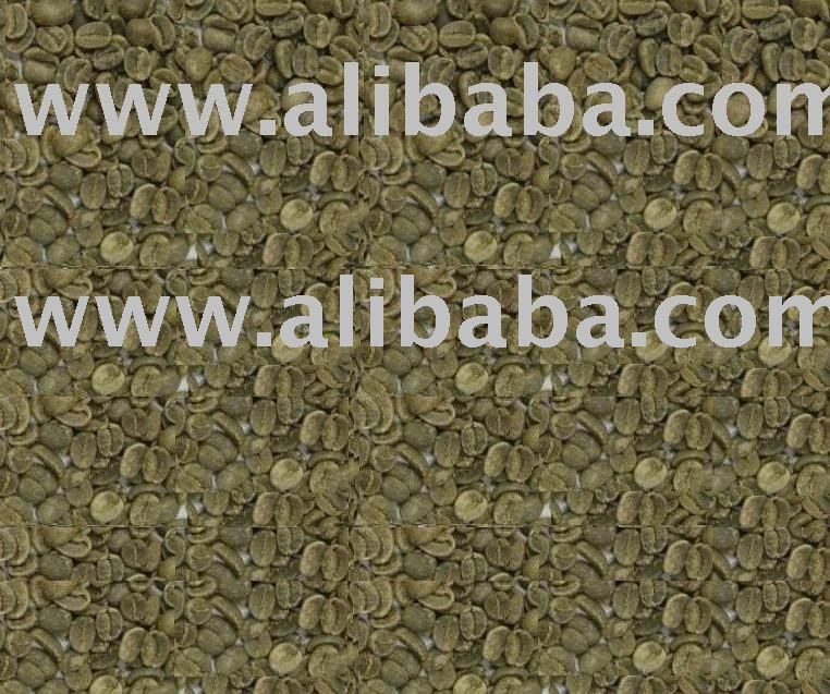 Arabica Coffee  Beans