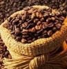 RABICA &ROBUSTA GREEN COFFEE BEANS FOR SALE