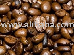 Robusta coffee
