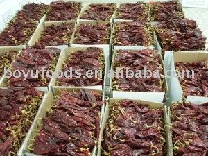 sell 2008 new crop sweet paprika paprika pods,paprika powder,paprika flake,paprika