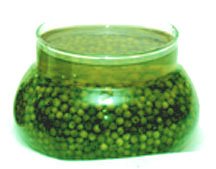 GREEN  PEPPER  IN  BRINE 