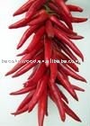 2010 dried red chilli
