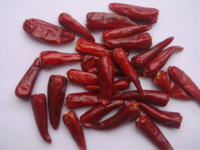 small red chilli suppliers,exporters on 21food.com