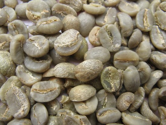 ARABICA COFFEE