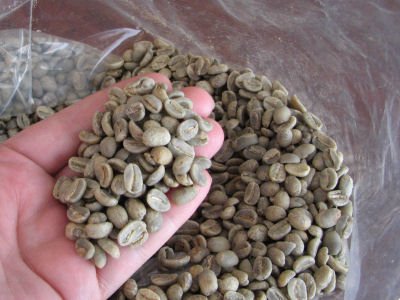 Green Colombian 100% FAIR TRADE ORGANIC Arabica Coffee bean-Sierra Nevada
