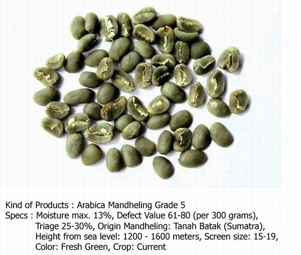 sumatra mandheling arabica