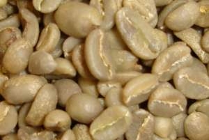 DJIMAH DRY PROCESSED ETHIOPIAN ARABICA COFFEE BEAN