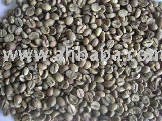 Robusta Coffee Bean