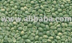 HIGH QUALITY ARABIC COFFEE BEANS