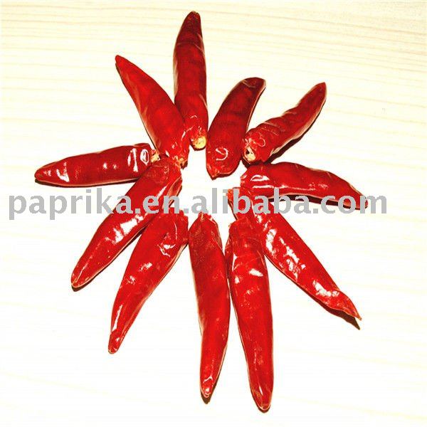 Red Chilli Hot
