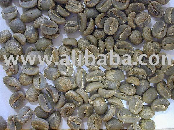 GREEN COFFEE BEAN