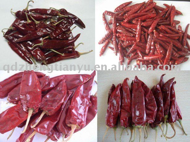 Red chili/pepper/paprika/Chilies/Chillies/Pimiento