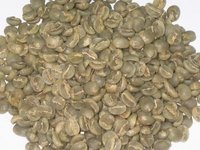Green Arabica Coffee Beans