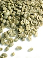 Arabica and Robuster Coffee Beans Supplier Ready for Sale