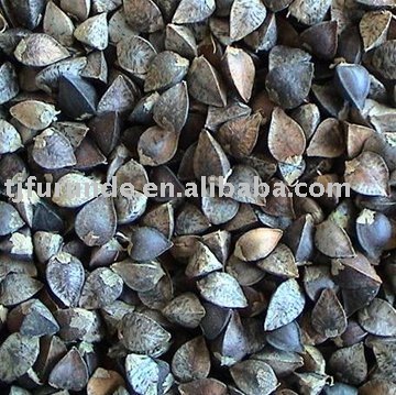 Buckwheat 2010
