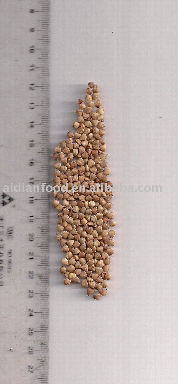 buckwheat