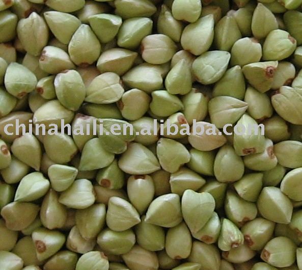 buckwheat kernel