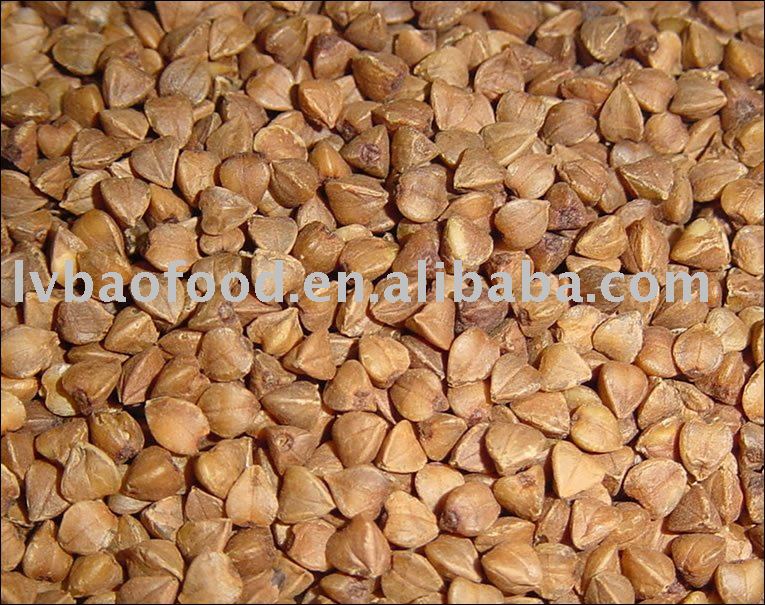 Buck  wheat