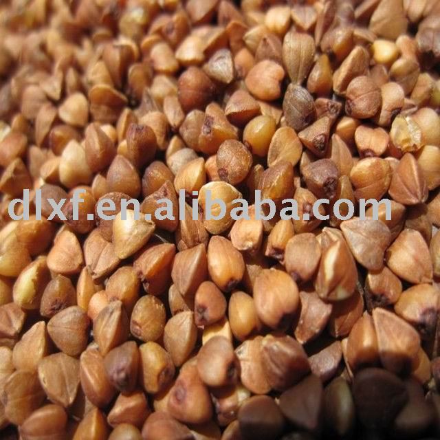 A quality roasted buckwheat 2010