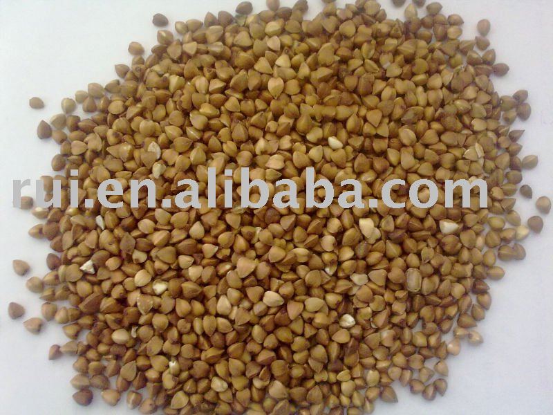 Roasted Buckwheat Kernels crop 2010