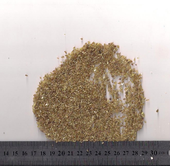 bitter Buckwheat kernel