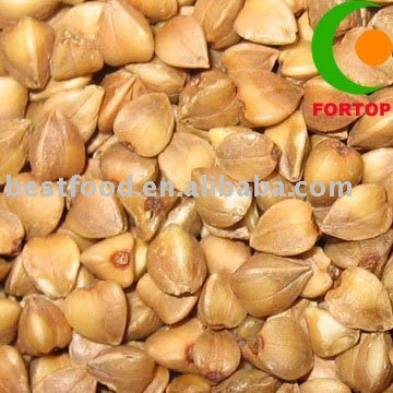  Dried   Buckwheat 