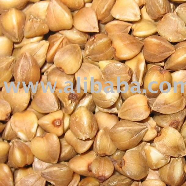 buckwheat is good for human being's health, and rich for many nutritious ingredients.