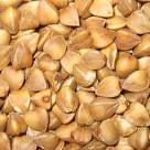 we sell buckwheat