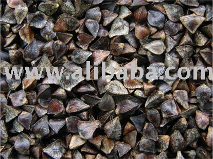 UNPROCESSED BUCK WHEAT