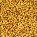 Buckwheat