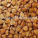 Quality Buckwheat , white and yellow corn , long grain rice and millet