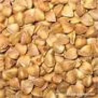 High-Quality-Buckwheat