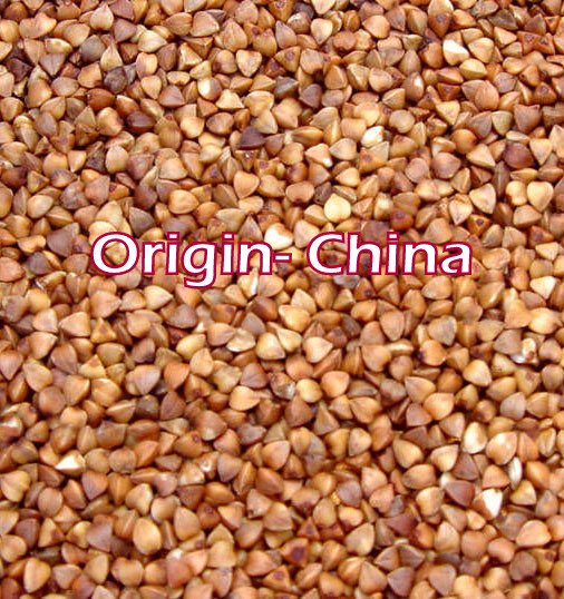  Buckwheat   Roasted   Kernel 