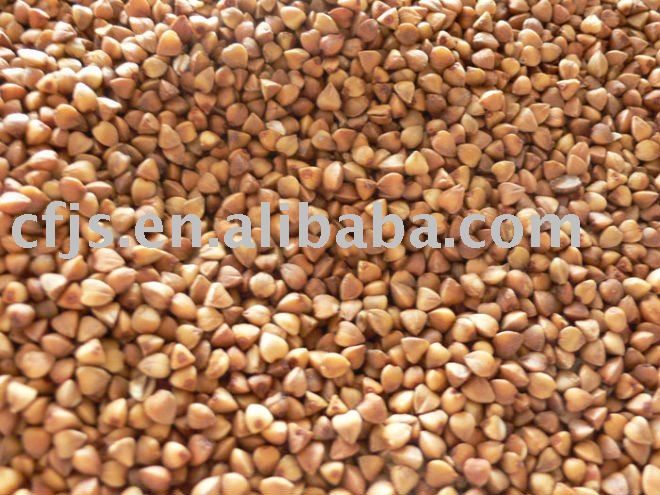 Chinese Roasted Buckwheat Kernels from factory