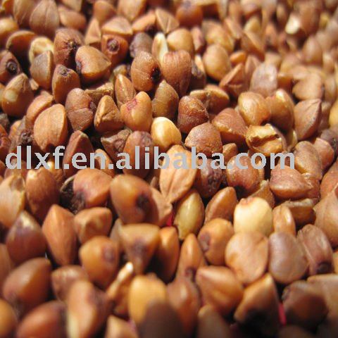 China Roasted Buckwheat  2010 crop