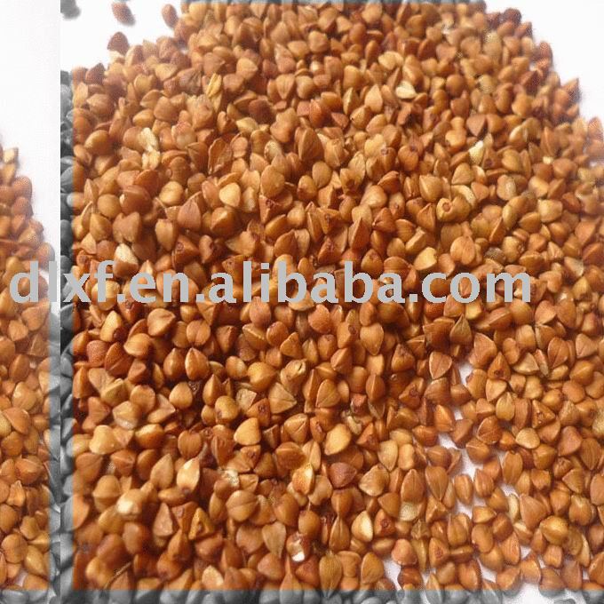 China Roasted Buckwheat     2010 crop