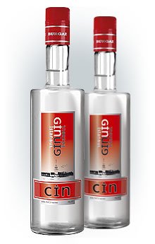 GIN