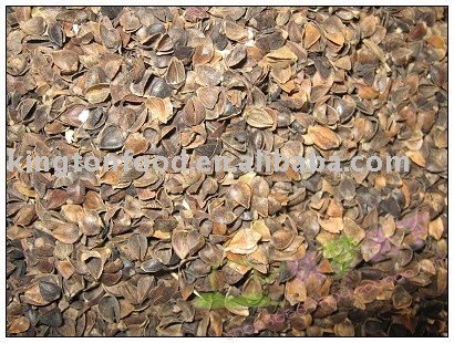 buckwheat husk