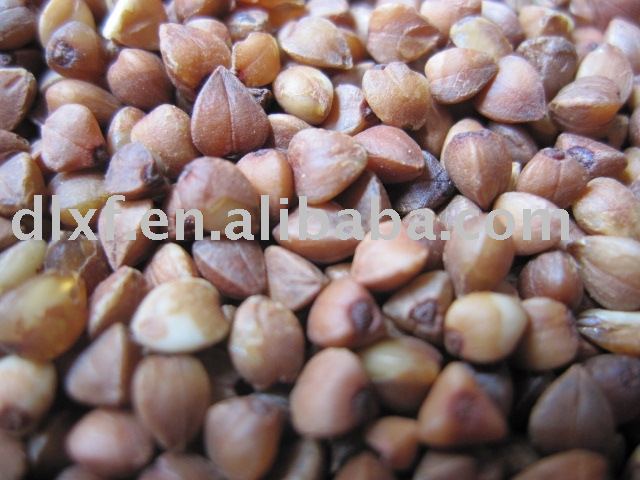 Raw Buckwheat& Raw Buckwheat kernels& raw buckwheat hull