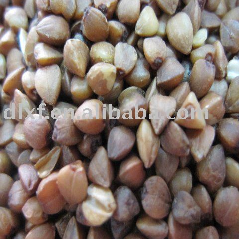 Raw Buckwheat& Raw Buckwheat kernels& hull
