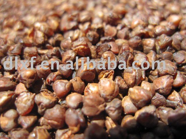 Roasted Buckwheat kernels new crop