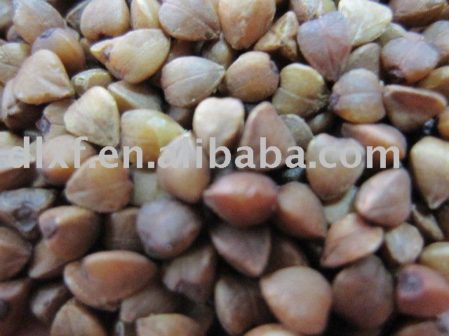 Raw Buckwheat kernels/buckwheat hulls good quality