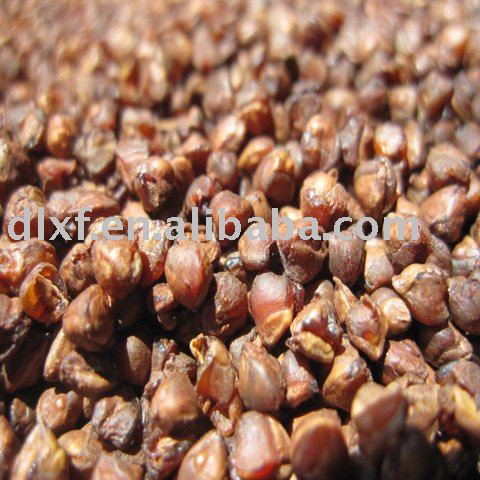 Roasted Buckwheat kernel  new crop