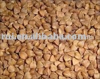 Buckwheat