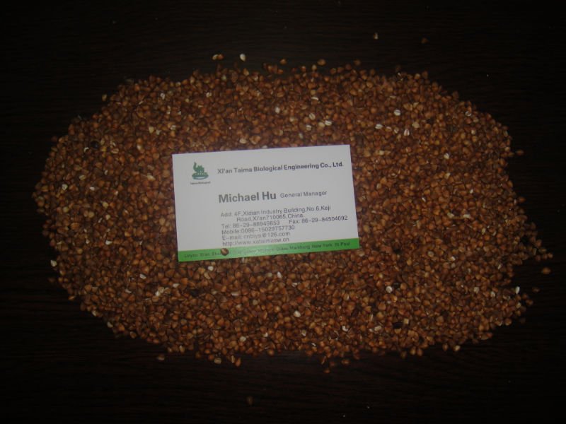 Roasted Buckwheat