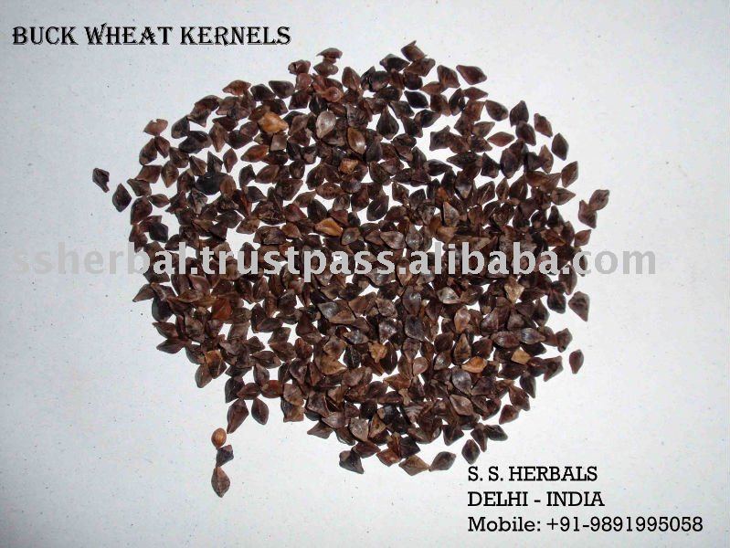 buckwheat