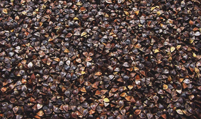 BUCKWHEAT GRAINS