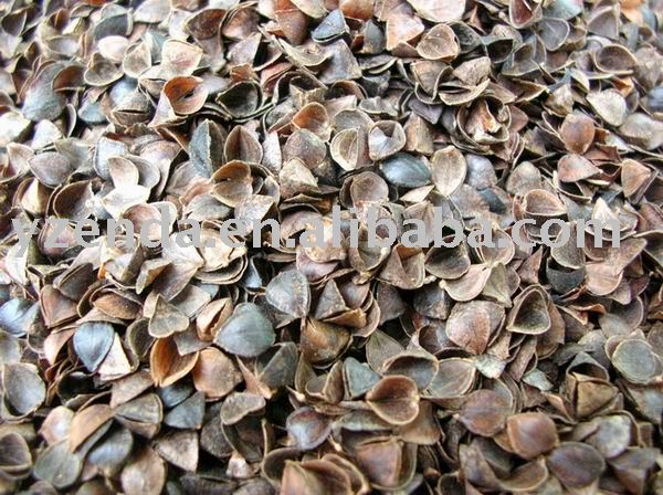 Buckwheat Hull